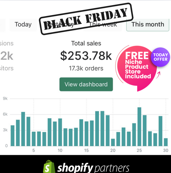 Black Friday Exclusive Bundle (2 Weeks Facebook Ads Management + FREE NICHE STORE)