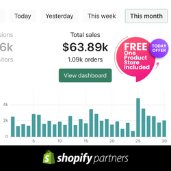 Facebook Ads Management + FREE One Product Store