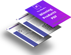 Winning Products PDF [Updated February 2024]